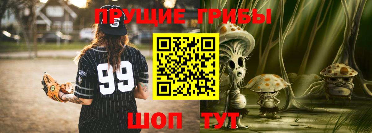 Псилоцибиновые грибы мицелий Бор